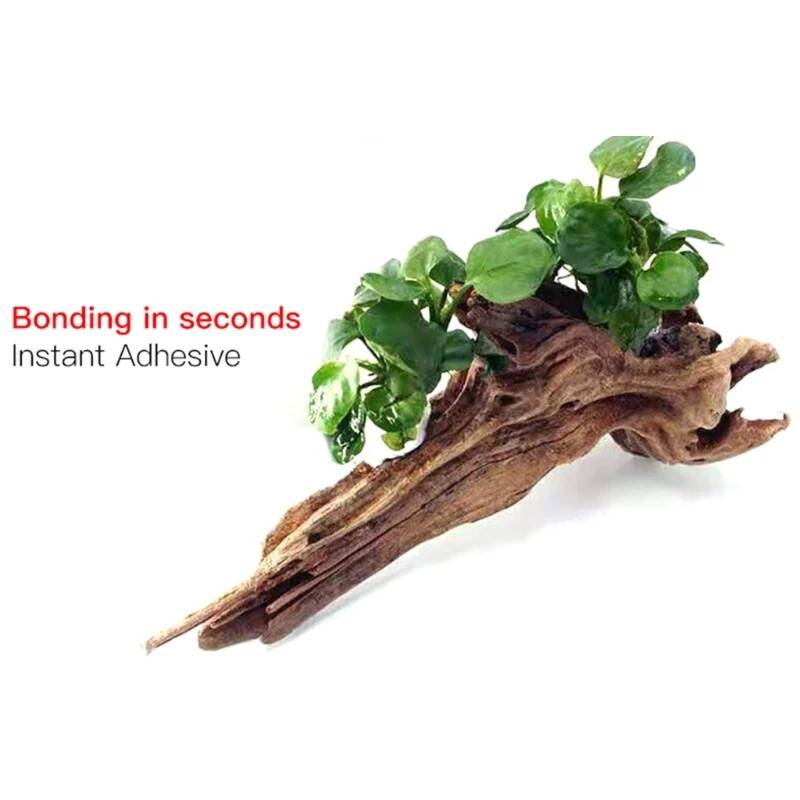 2-5PCS Clear Aquarium Plant Gl - Aquarium Plant Glue Gel ulasan dan harga