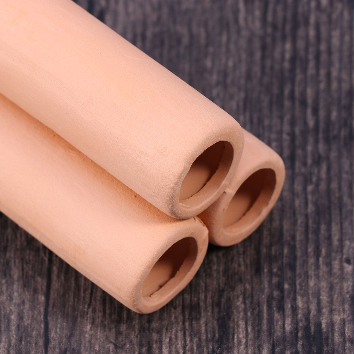 Ceramic Shrimp Moss Tube Hollo - Planted Aquarium Youtube ulasan dan harga